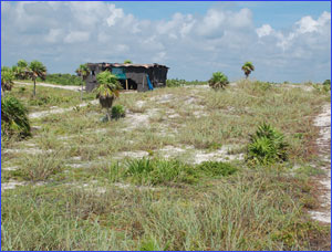 Isla Blanca Real Estate Fishing Activities